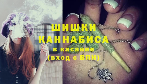 амф Арсеньев