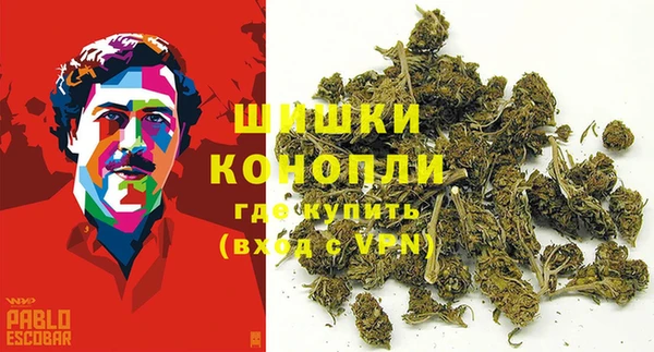 амф Арсеньев
