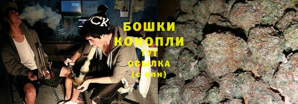 амф Арсеньев