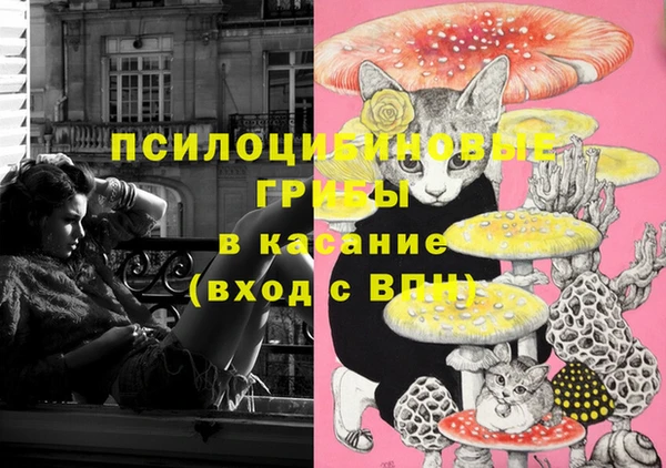 амф Арсеньев
