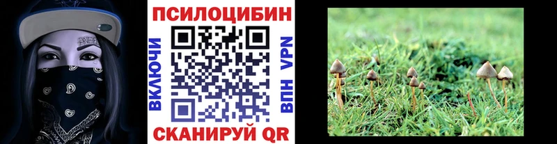 Псилоцибиновые грибы ЛСД Коломна